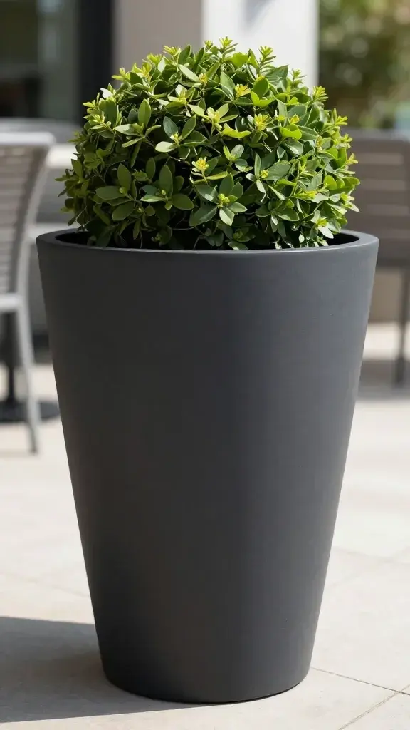 Closeup of a bold statement planter as focal point in sunny patio